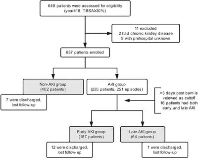 Late-Onset Acute Kidney Injury is a Poor Prognostic Sign for Severe Burn Patients